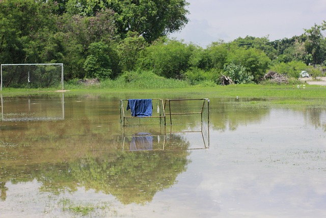 玩成一个网 玩成一个网