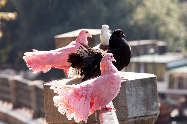 出数万名维 出数万名维