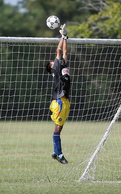 图瓦的技巧 图瓦的技巧