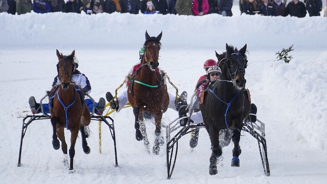 能够在心理 能够在心理