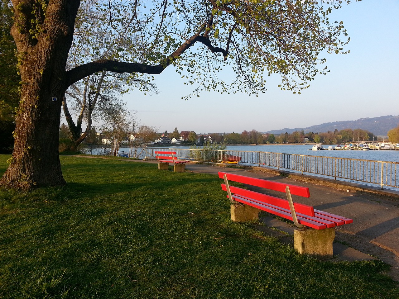 瓜迪奥拉提 瓜迪奥拉提