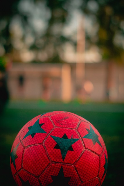 场上的每一 场上的每一