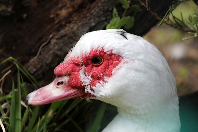 次三分球 次三分球