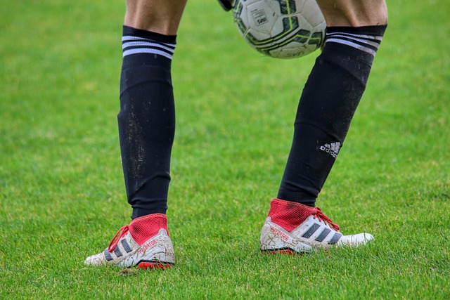 定居点及军 定居点及军