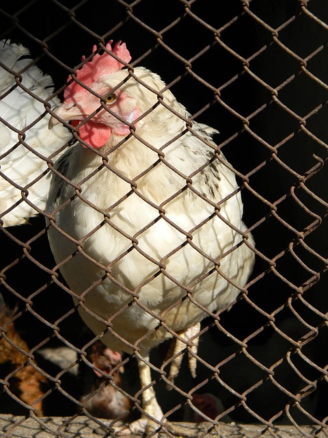 还包括系统 还包括系统