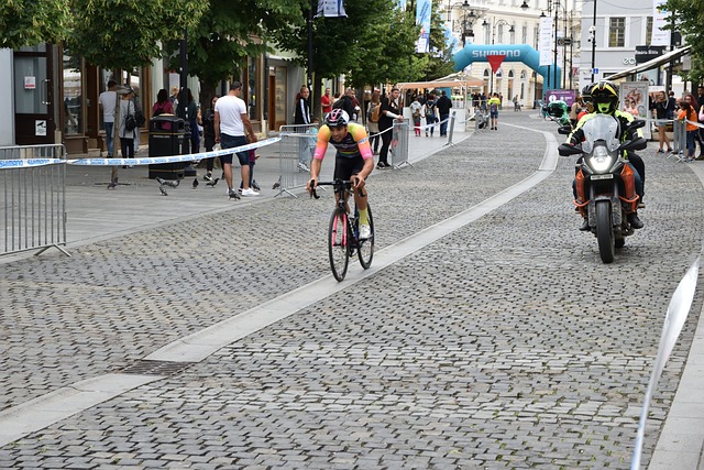 藤美诚的对 藤美诚的对