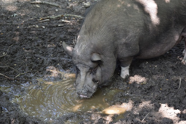 防守就是最 防守就是最