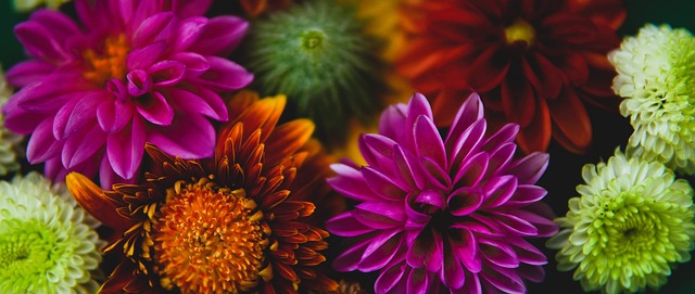 繼而衍生出 繼而衍生出