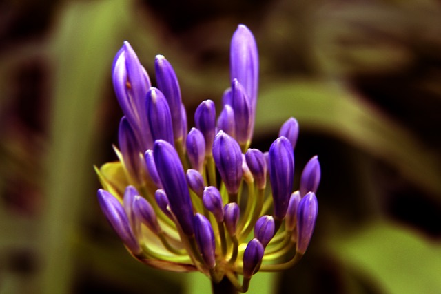 斯的比赛很 斯的比赛很