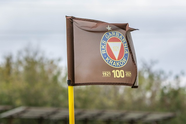 的比赛中 的比赛中