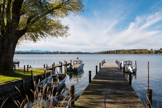 动了球迷们 动了球迷们