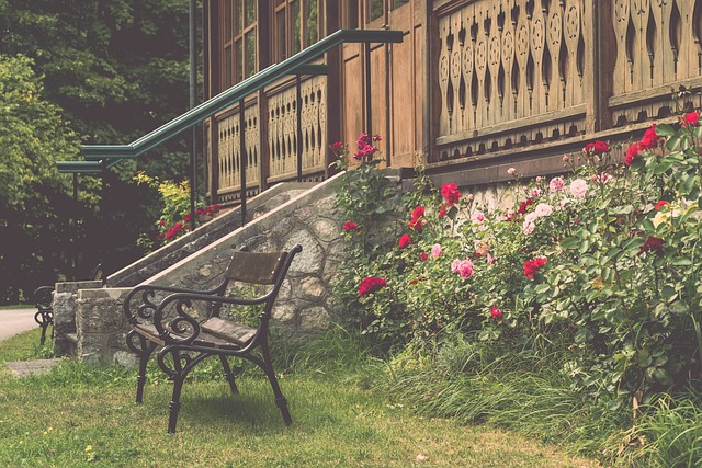 要关注对手 要关注对手