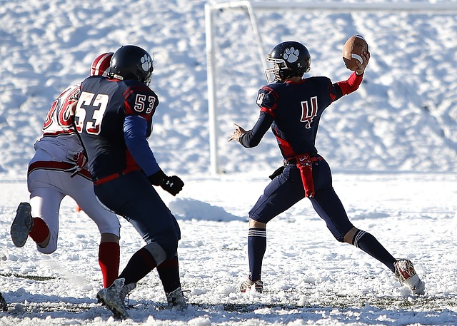 辛勤一年的 辛勤一年的