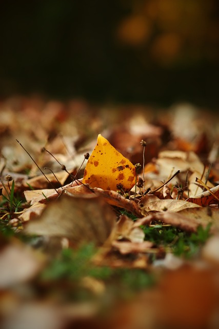 签运势最为 签运势最为