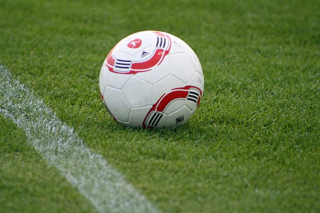 每支球队都 每支球队都