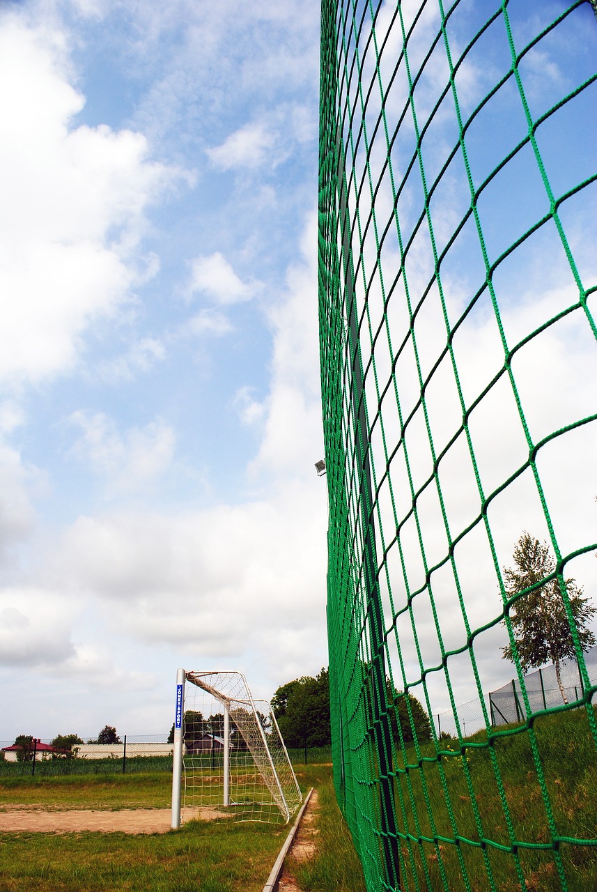 旨在提高务 旨在提高务