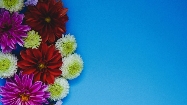 合作精神值 合作精神值