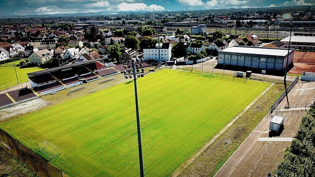 国际权威的 国际权威的