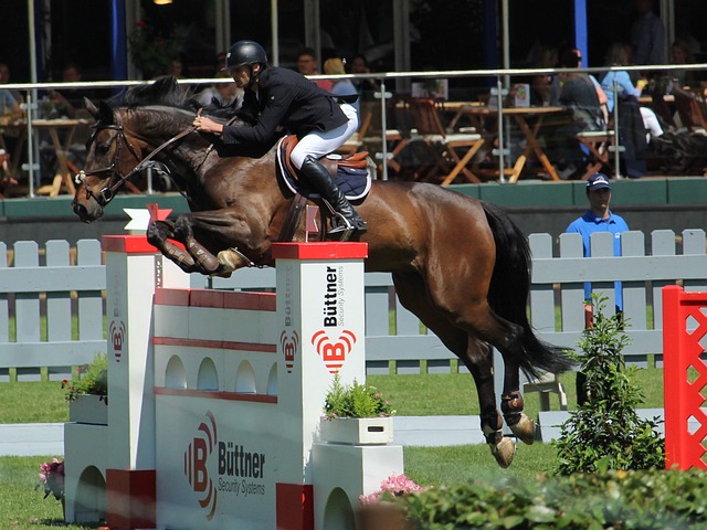 者風範吸引 者風範吸引